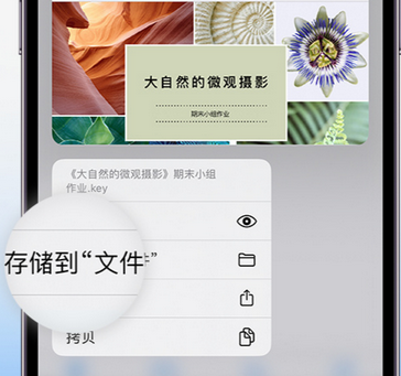 新青apple维修中心分享iPhone文件应用中存储和找到下载文件