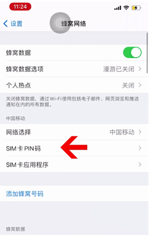 新青苹果14维修网分享如何给iPhone14的SIM卡设置密码 