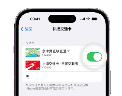 新青apple维修点分享iPhone上更换Apple Pay快捷交通卡手绘卡面 