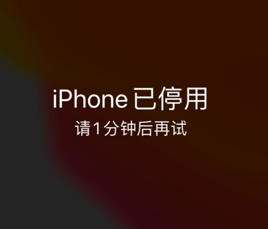 新青苹果手机维修分享:iPhone 显示“不可用”或“已停用”怎么办？还能保留数据吗？ 