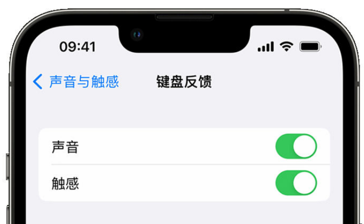 新青苹果手机维修分享iPhone 14触感键盘使用方法 