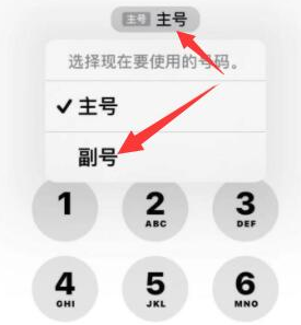 新青苹果14维修店分享iPhone 14 Pro Max使用副卡打电话的方法 