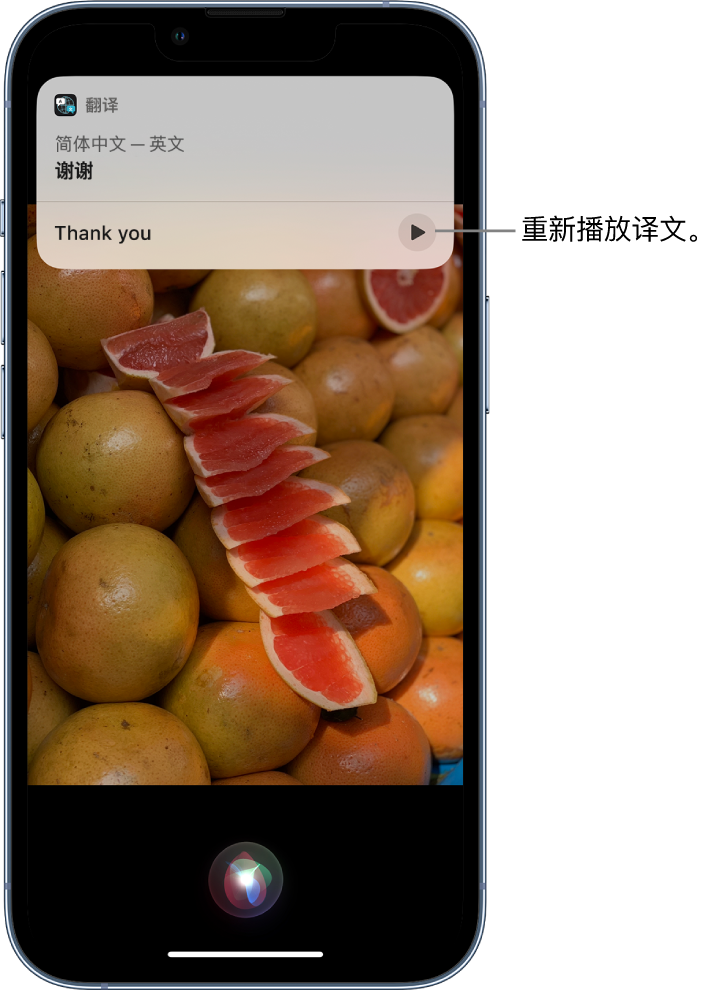 新青苹果14维修分享 iPhone 14 机型中使用 Siri：了解 Siri 能帮你做什么 