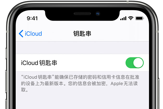 新青苹果手机维修分享在 iPhone 上开启 iCloud 钥匙串之后会储存哪些信息 