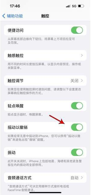 新青苹果手机维修分享iPhone手机如何设置摇一摇删除文字 